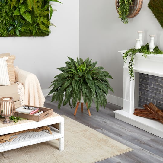 2.5ft. Boston Fern in Planter with Legs